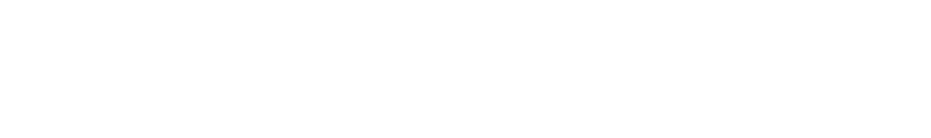 sheet-for-brains-white-logo-v2